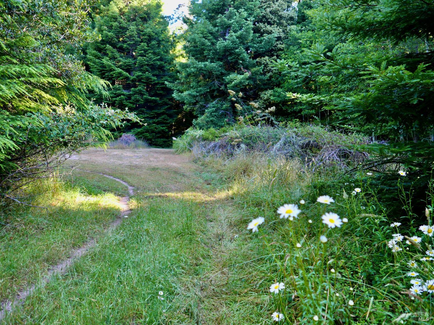 19130 Dorffi Road Fort Bragg CA 95437