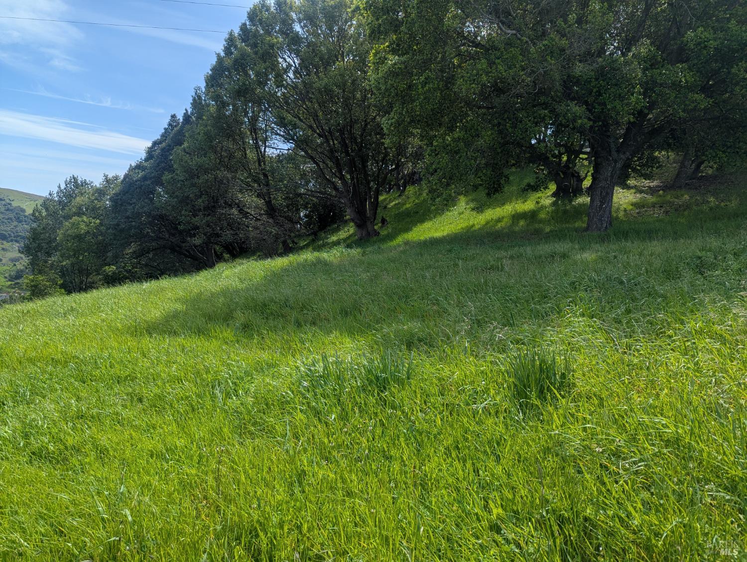 1163 Meadowsweet Drive Corte Madera CA 94925