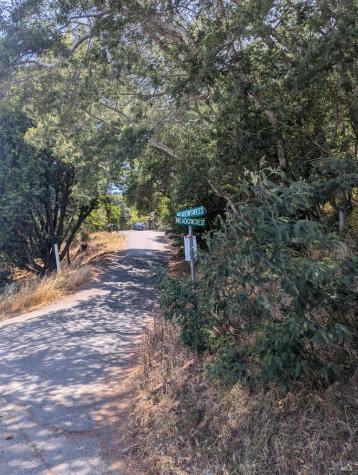 1163 Meadowsweet Drive Corte Madera CA 94925