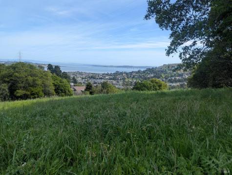 1163 Meadowsweet Drive Corte Madera CA 94925