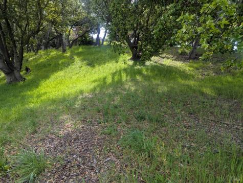 1163 Meadowsweet Drive Corte Madera CA 94925