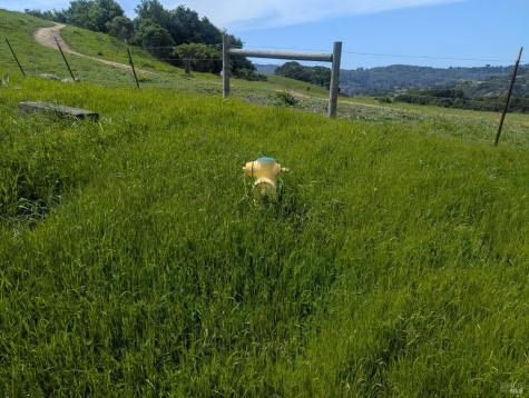 1163 Meadowsweet Drive Corte Madera CA 94925