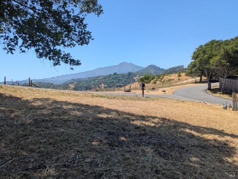 1163 Meadowsweet Drive Corte Madera CA 94925