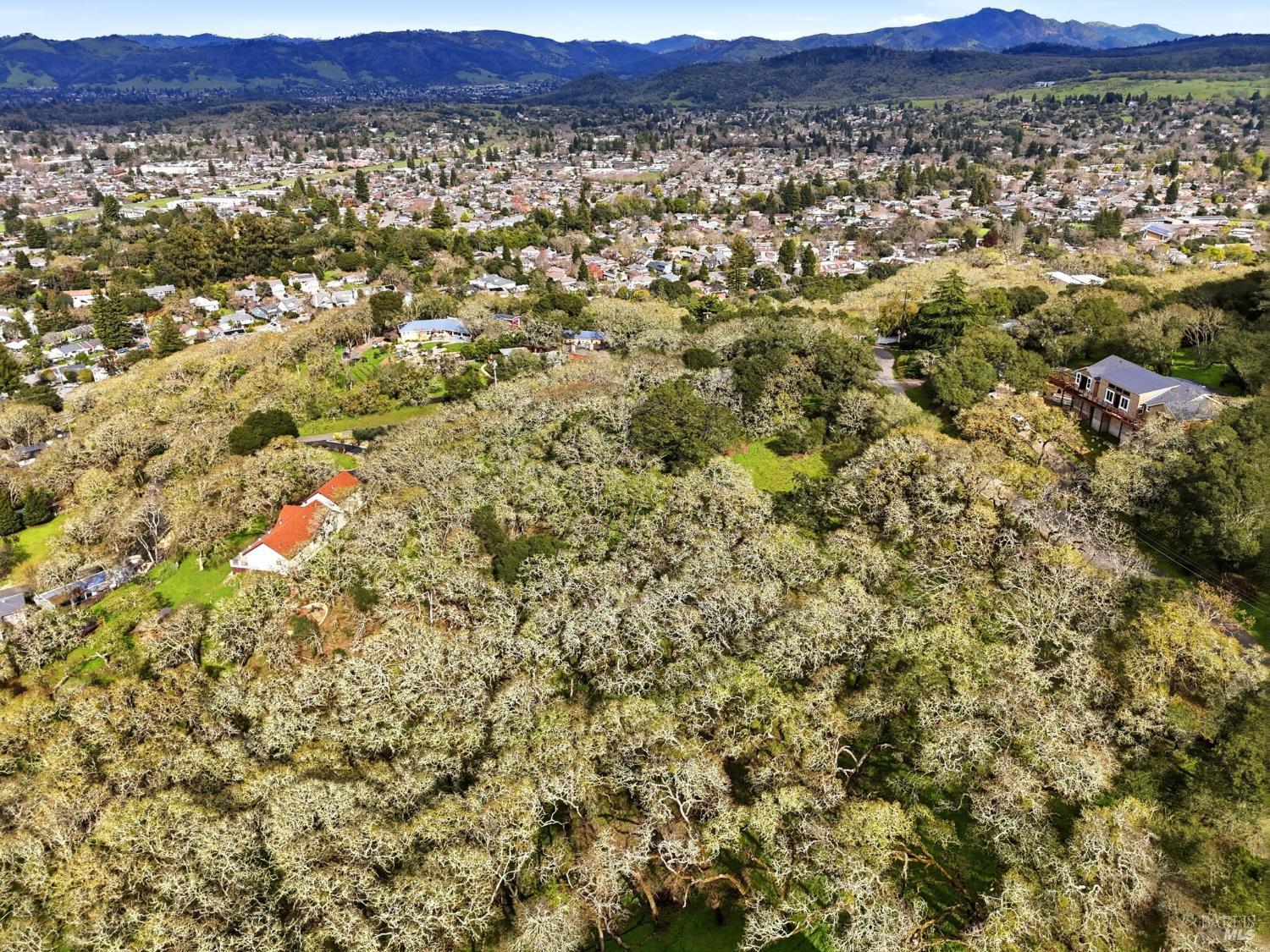 3494 Holland Drive Santa Rosa CA 95404
