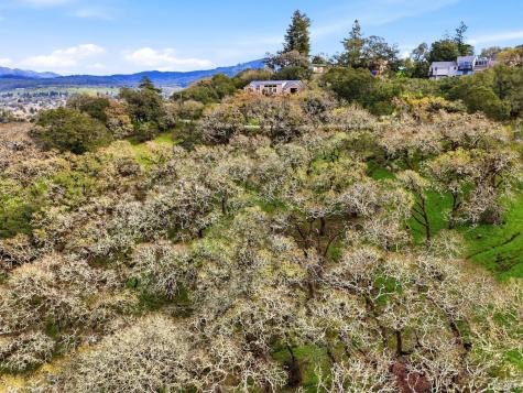 3494 Holland Drive Santa Rosa CA 95404