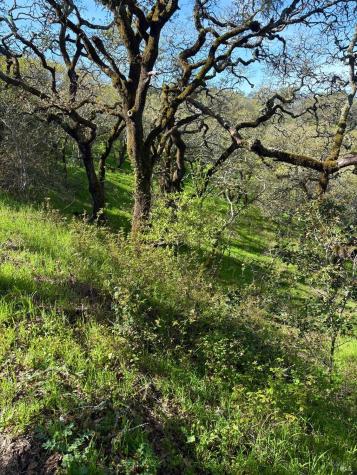3494 Holland Drive Santa Rosa CA 95404