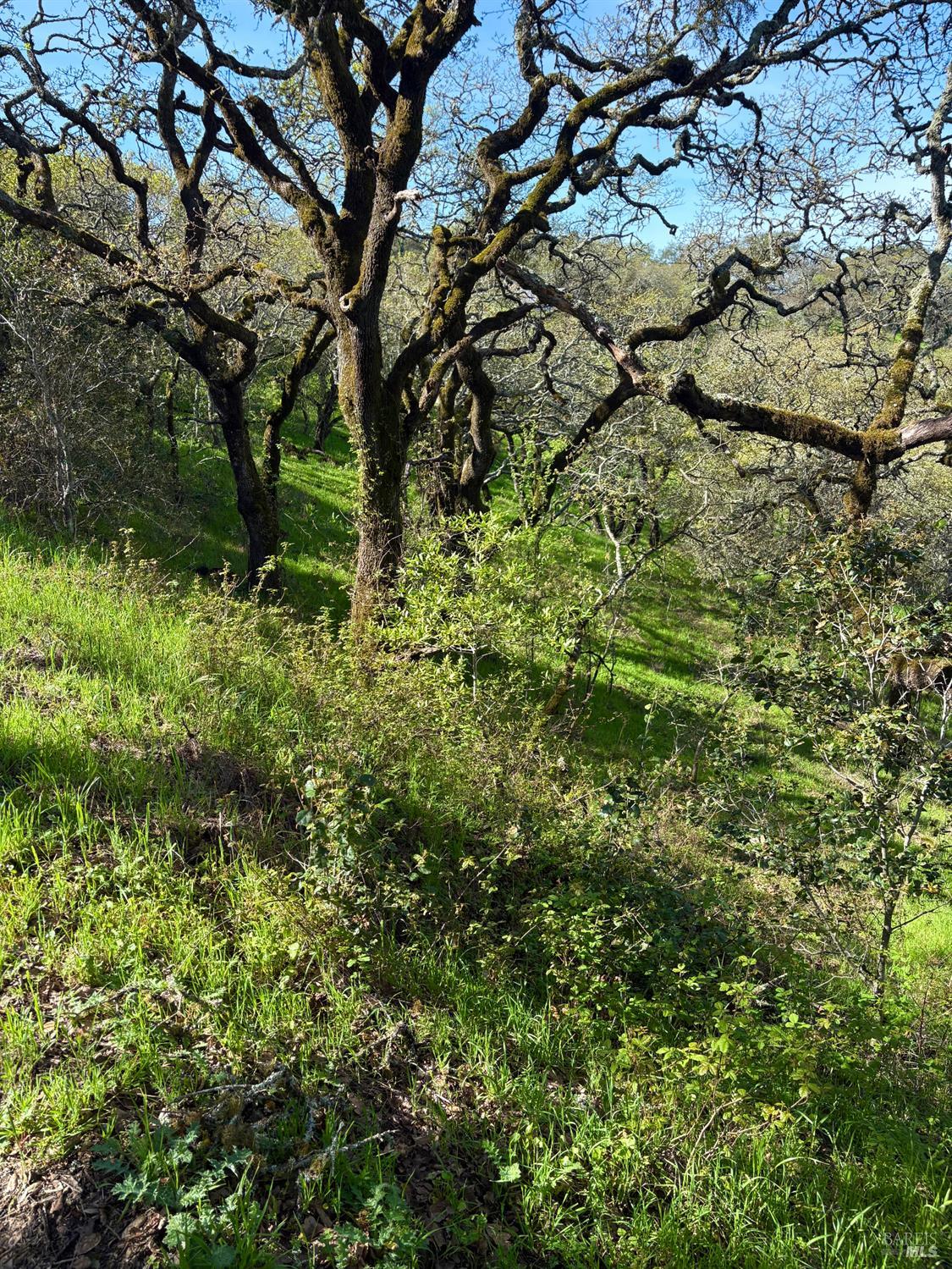 3494 Holland Drive Santa Rosa CA 95404