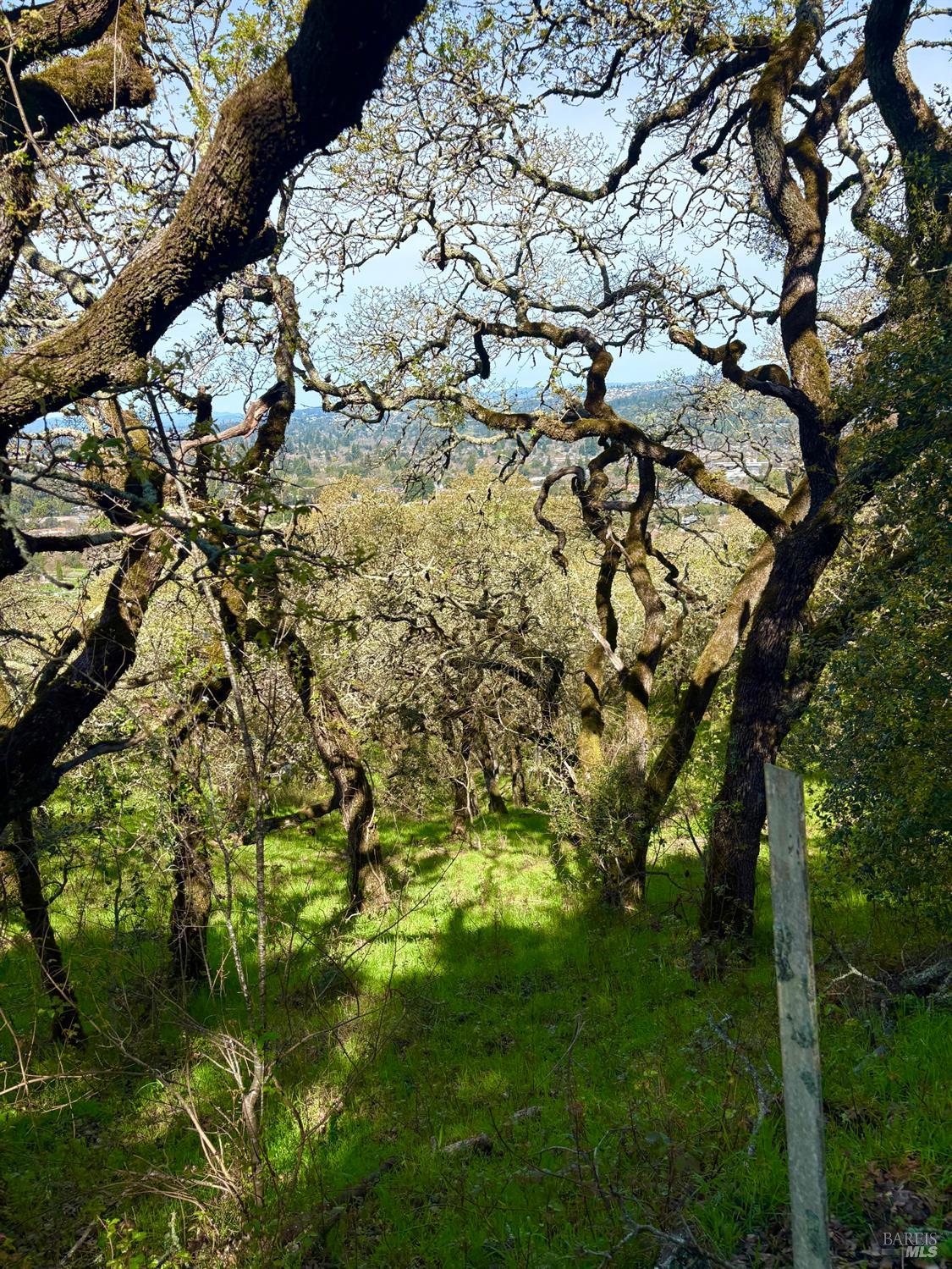 3494 Holland Drive Santa Rosa CA 95404