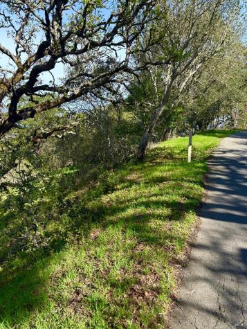 3494 Holland Drive Santa Rosa CA 95404