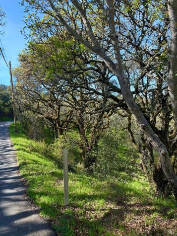 3494 Holland Drive Santa Rosa CA 95404