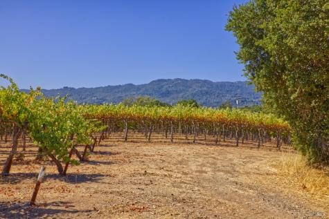 15881 Highway 12 Sonoma CA 95476