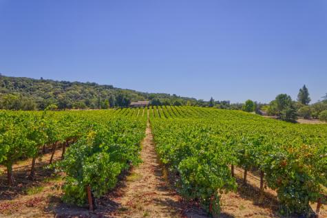 15881 Highway 12 Sonoma CA 95476