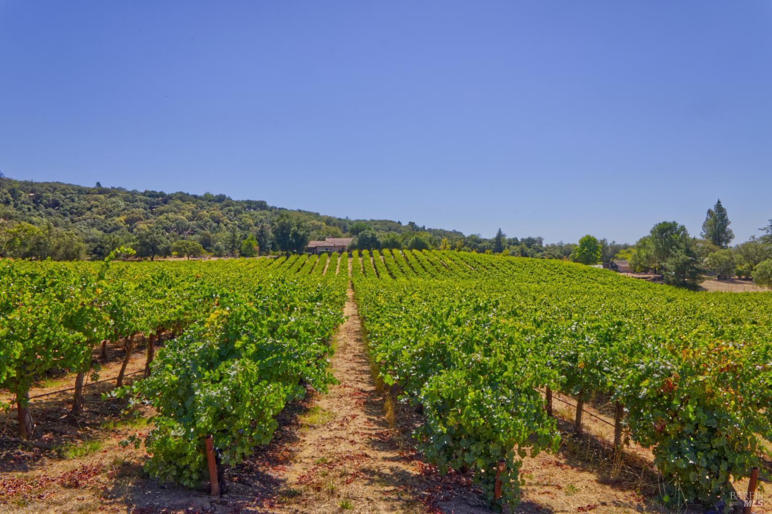 15881 Highway 12 Sonoma CA 95476
