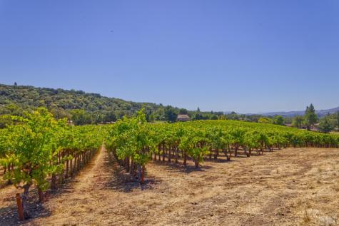 15881 Highway 12 Sonoma CA 95476