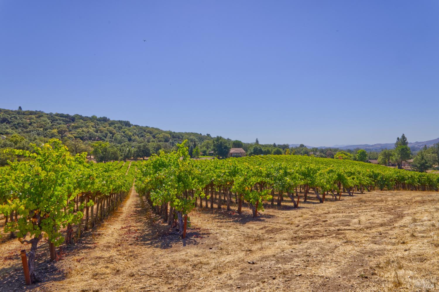 15881 Highway 12 Sonoma CA 95476