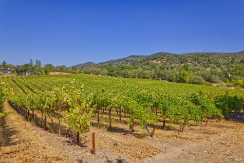 15881 Highway 12 Sonoma CA 95476