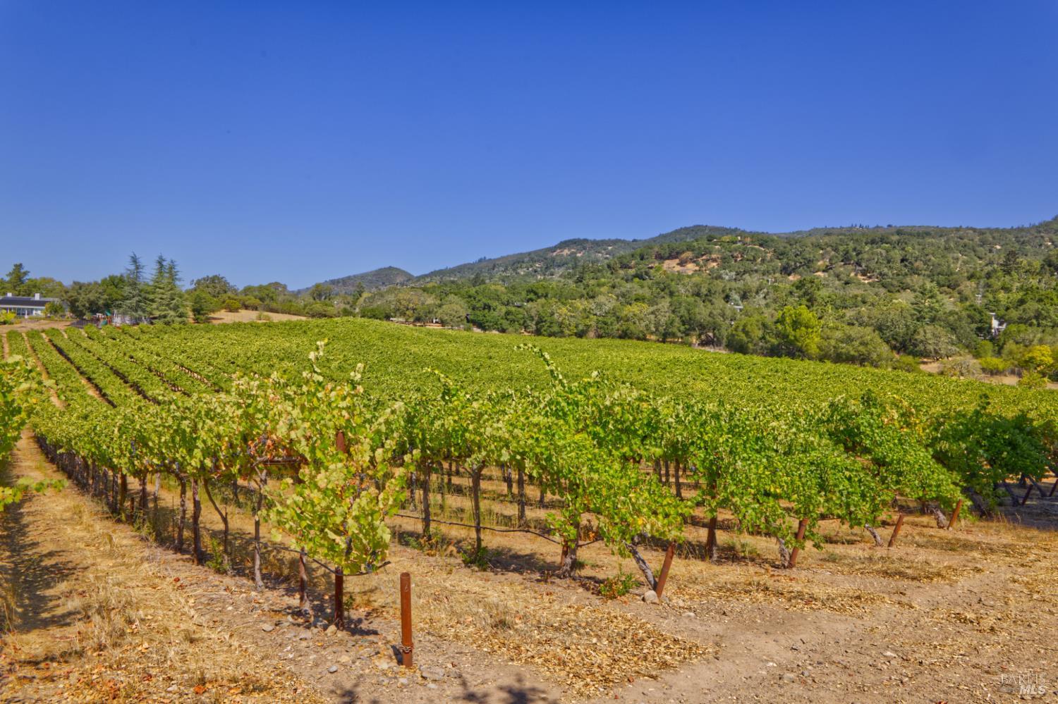 15881 Highway 12 Sonoma CA 95476