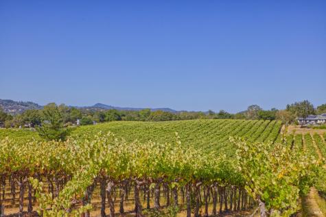 15881 Highway 12 Sonoma CA 95476