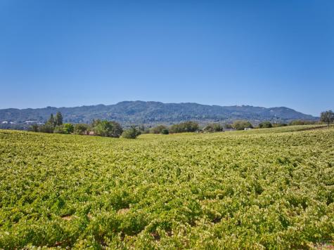 15881 Highway 12 Sonoma CA 95476
