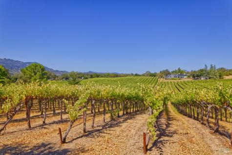 15881 Highway 12 Sonoma CA 95476