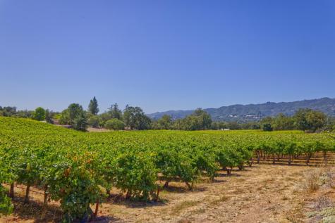 15881 Highway 12 Sonoma CA 95476