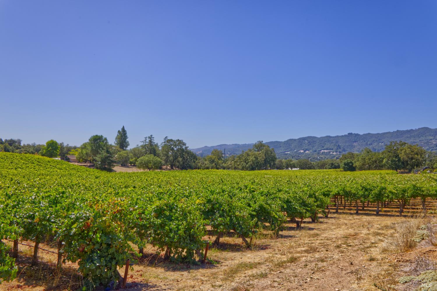 15881 Highway 12 Sonoma CA 95476