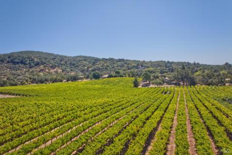 15881 Highway 12 Sonoma CA 95476