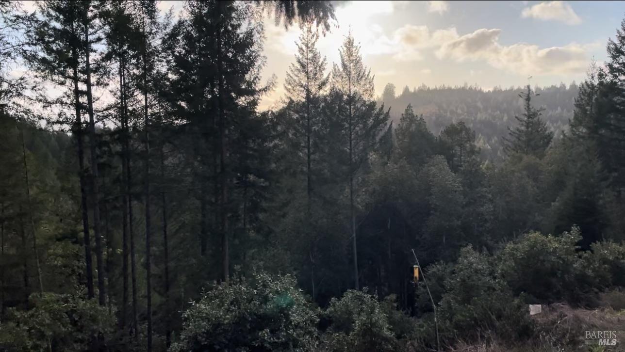36000 Nash Mill Road Philo CA 95466