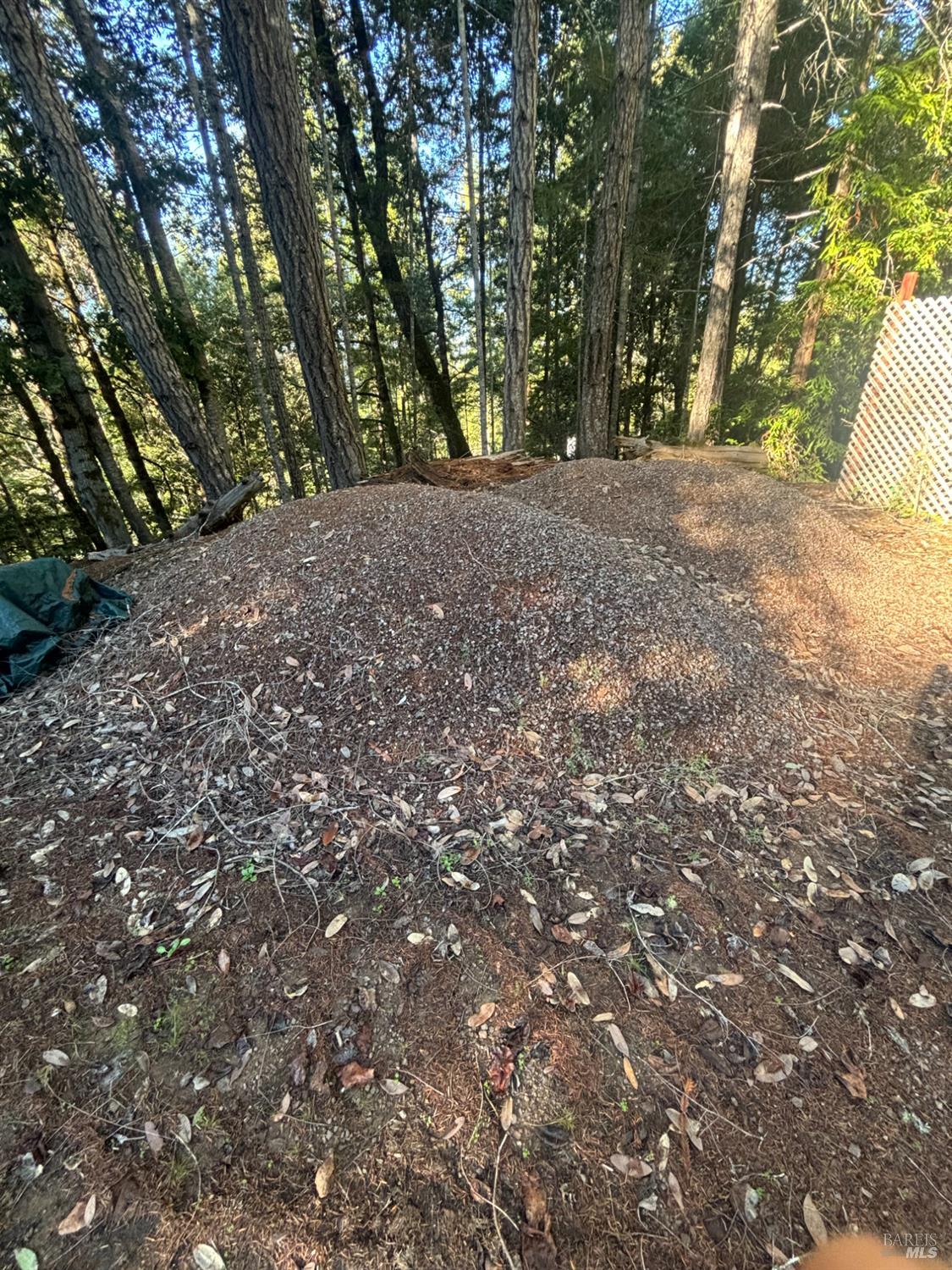 36000 Nash Mill Road Philo CA 95466