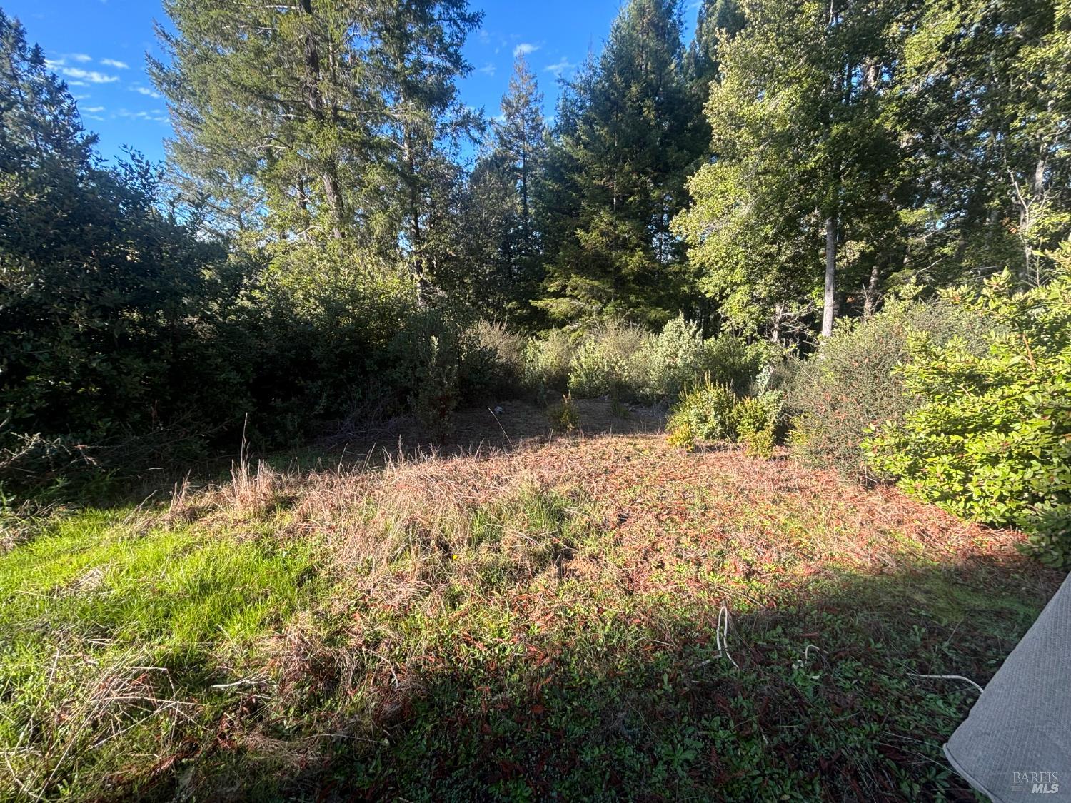 36000 Nash Mill Road Philo CA 95466