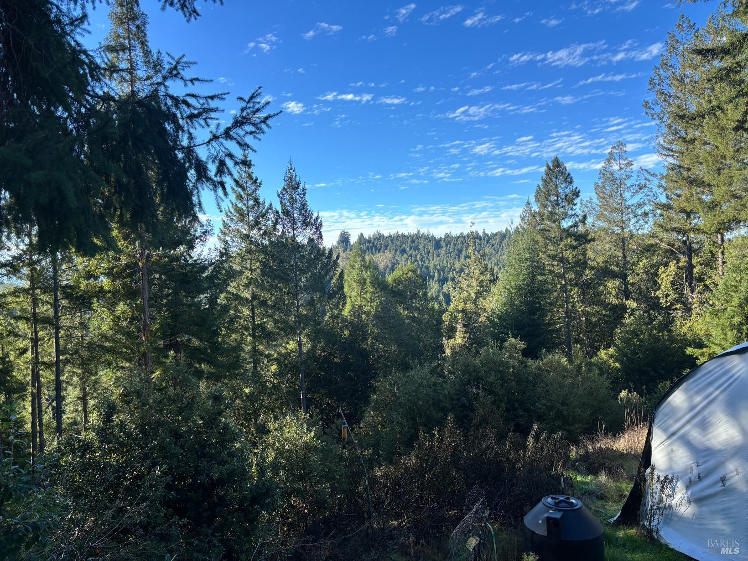 36000 Nash Mill Road Philo CA 95466