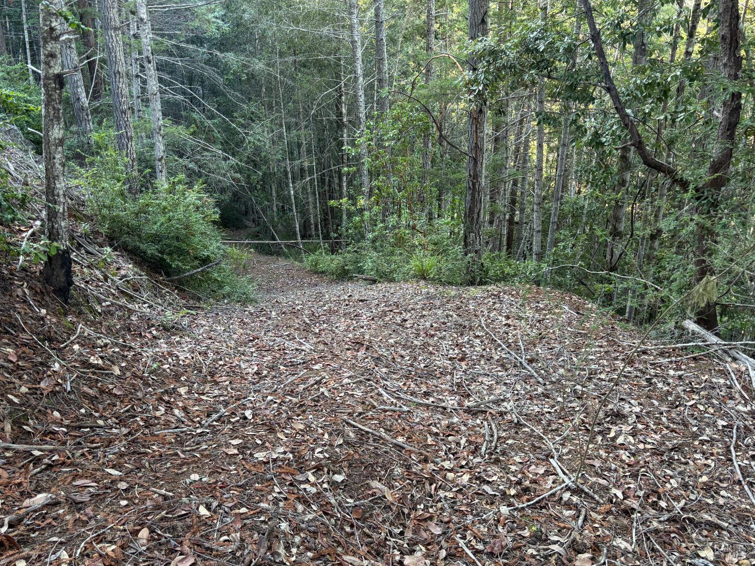 36000 Nash Mill Road Philo CA 95466