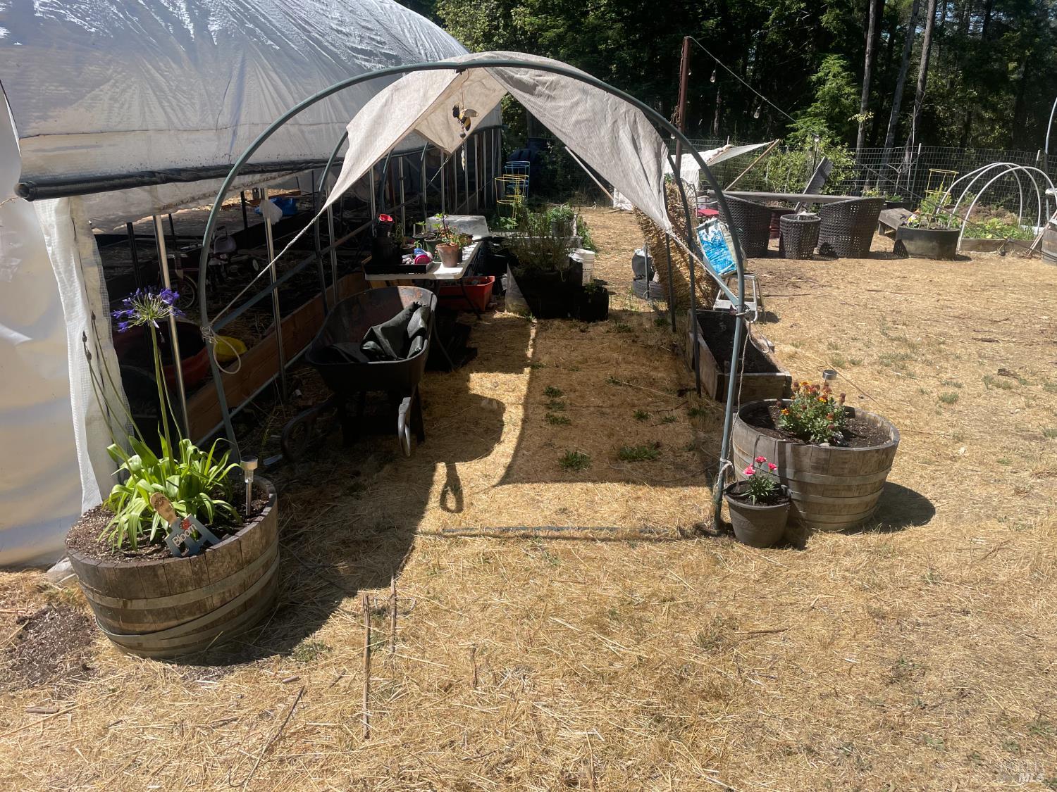 36000 Nash Mill Road Philo CA 95466