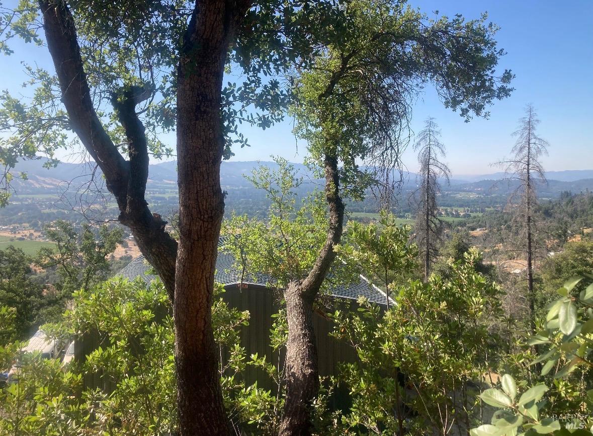 11290 West Road Redwood Valley CA 95470