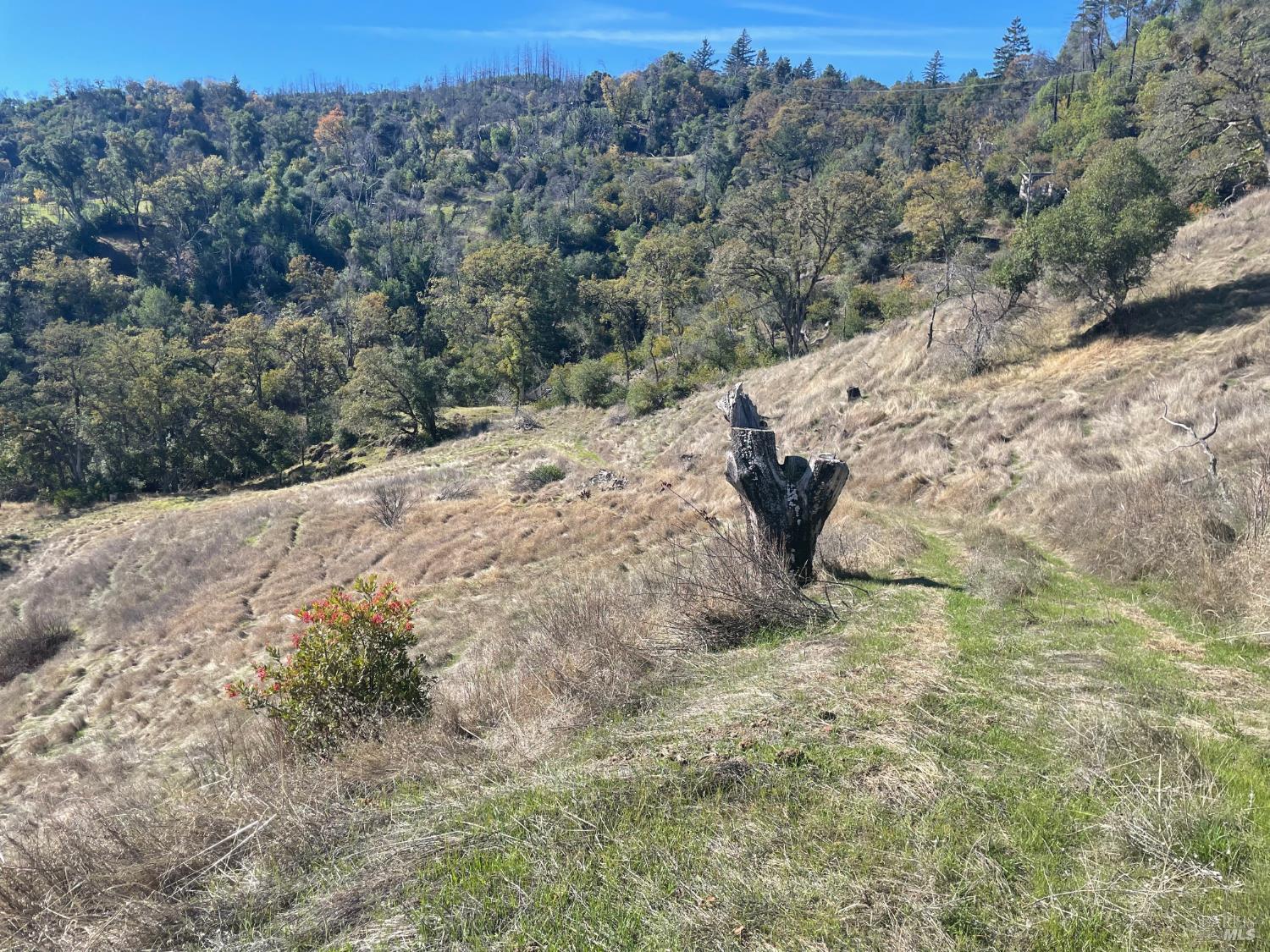 11290 West Road Redwood Valley CA 95470