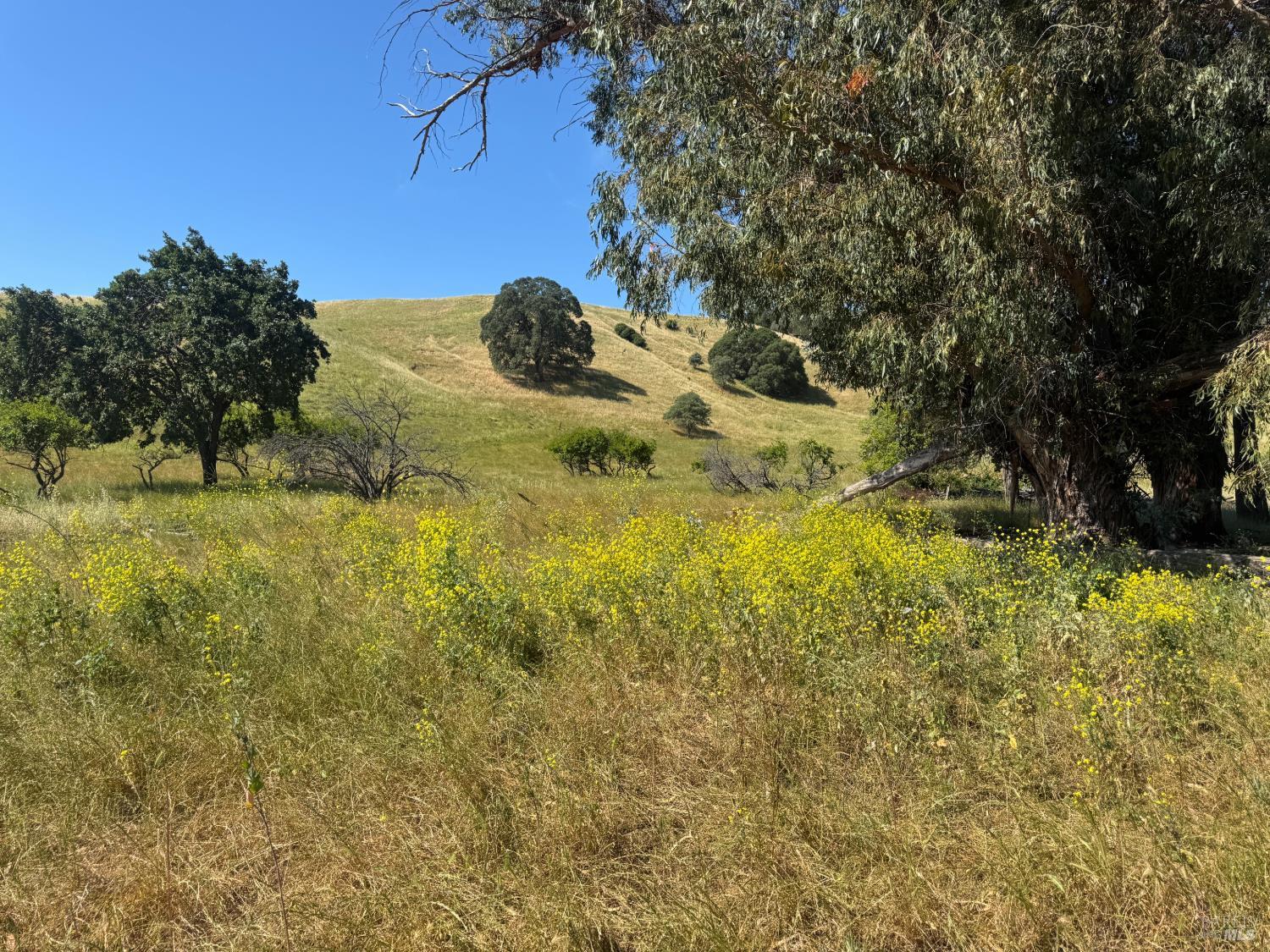 5275 Lyon Road Fairfield CA 94534