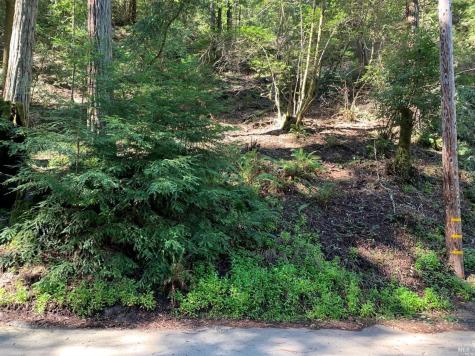 11953 Hillside Road Forestville CA 95436