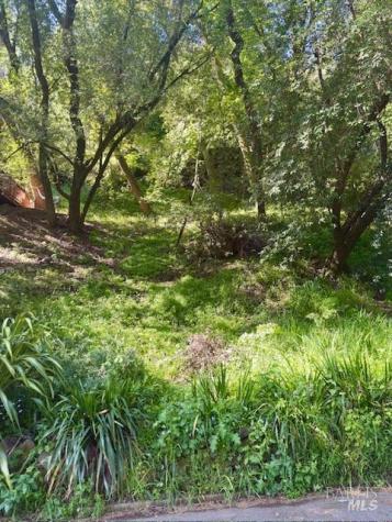 67 Tamalpias Avenue Fairfax CA 94930