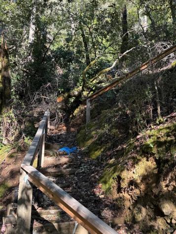 17561 Duncan Road Guerneville CA 95446