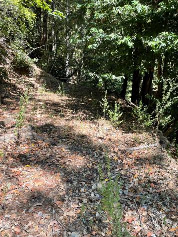 17561 Duncan Road Guerneville CA 95446