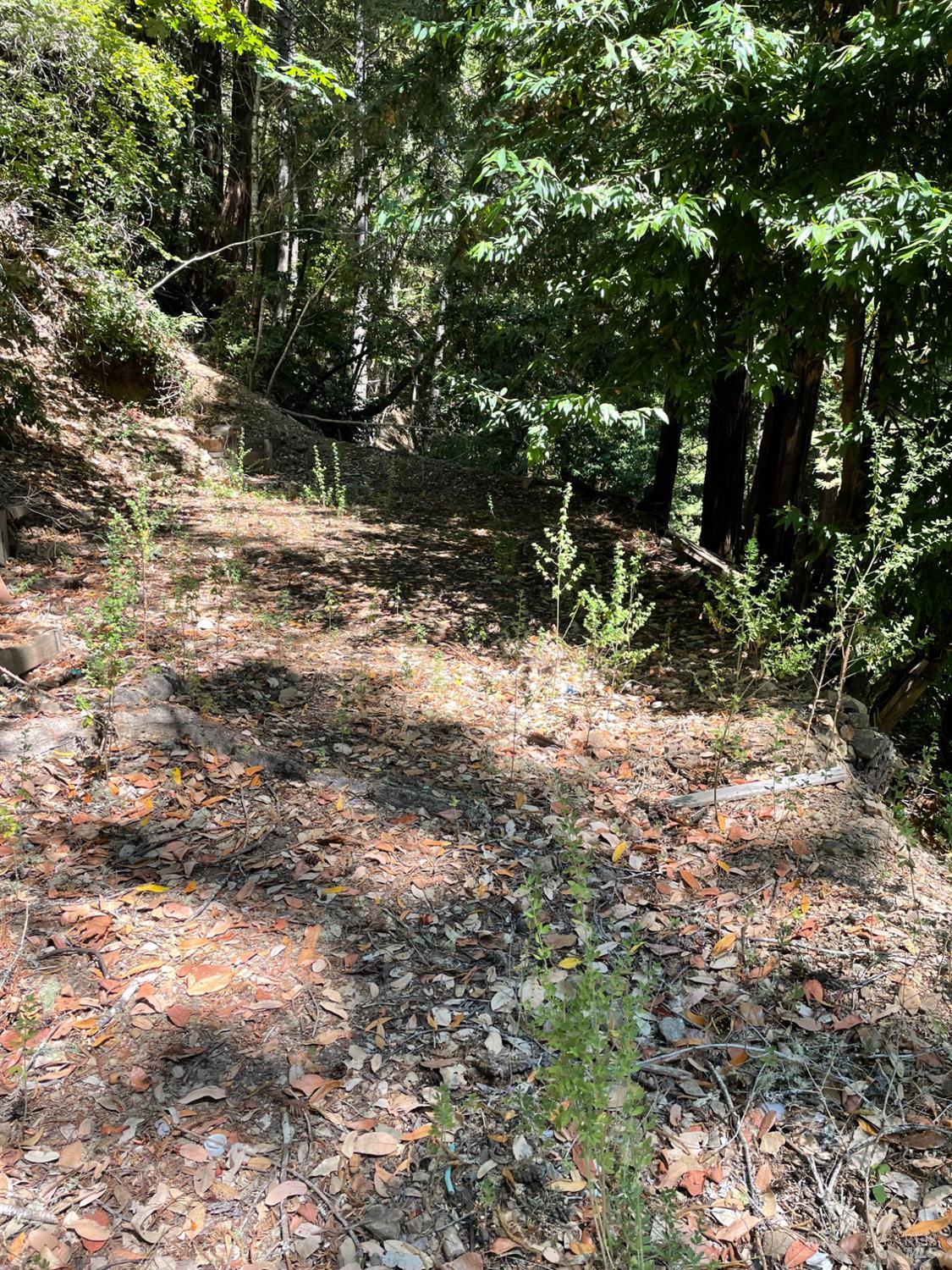 17561 Duncan Road Guerneville CA 95446