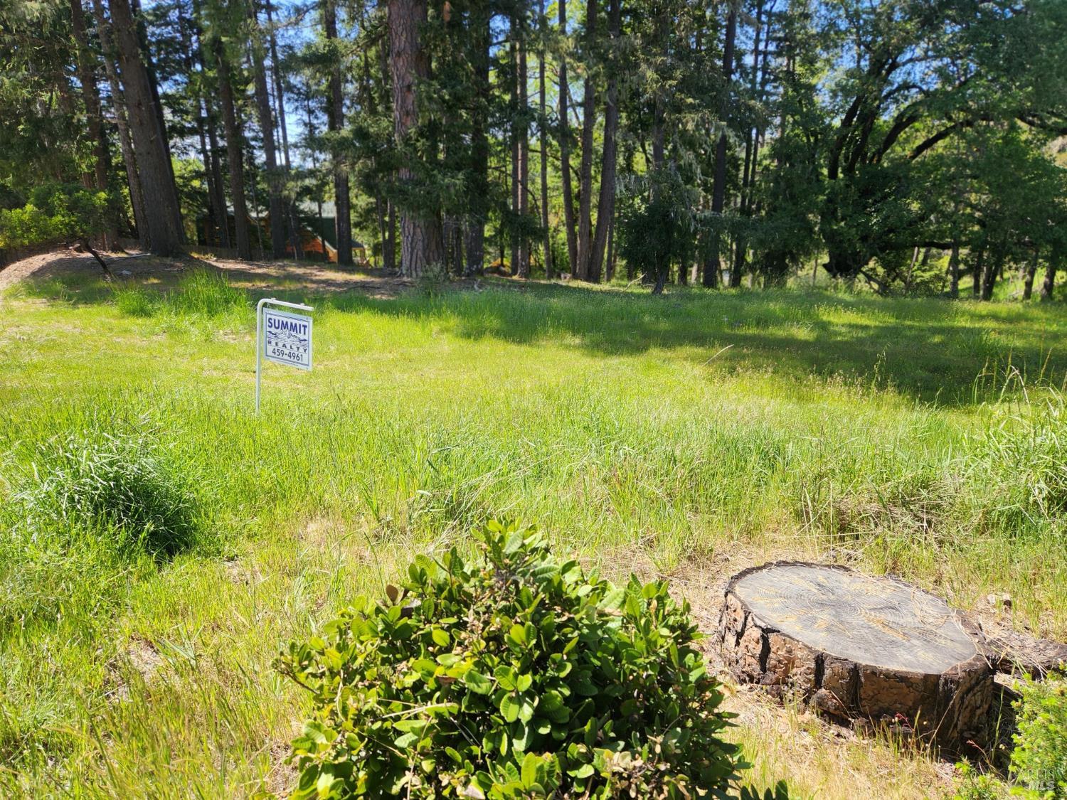 25970 Tucker Lane Willits CA 95490