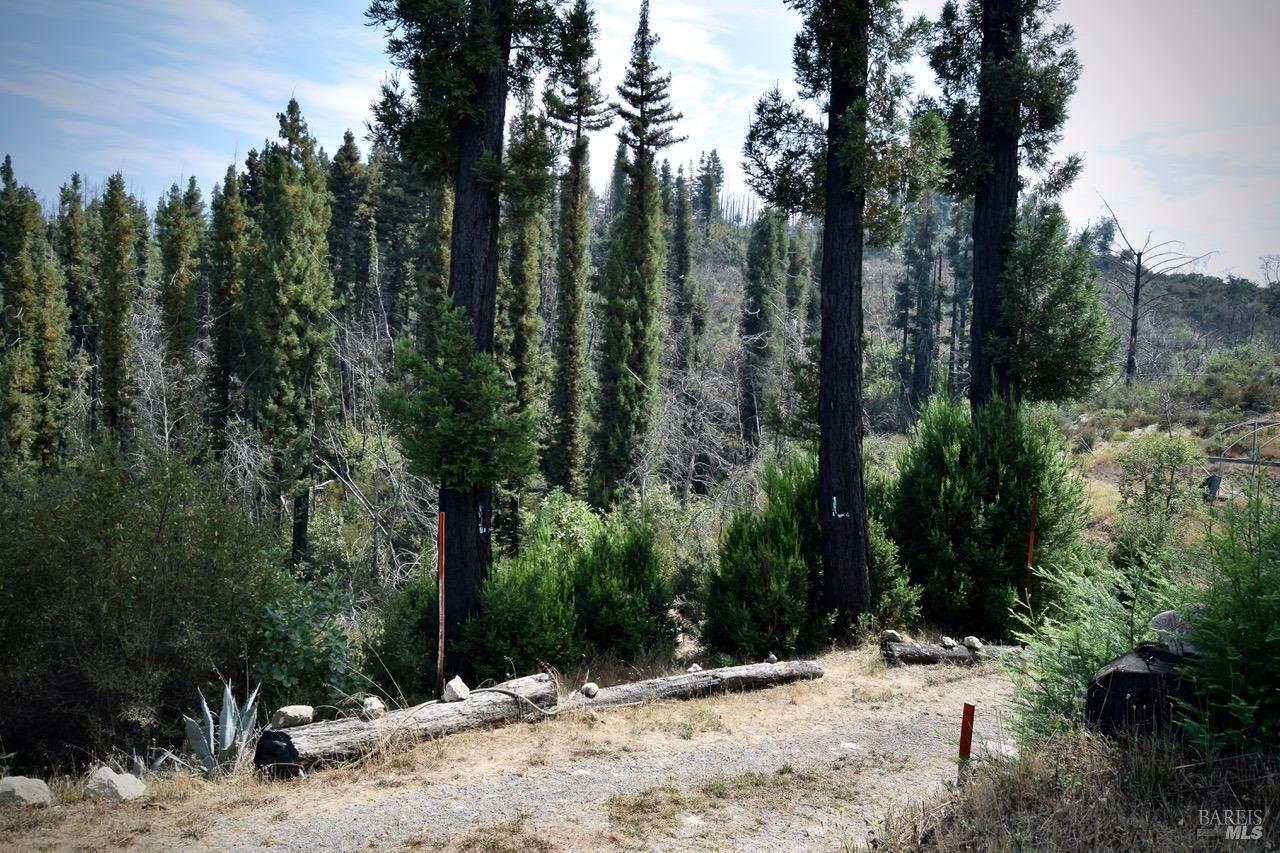 3950 Mountain Home Ranch Road Calistoga CA 94515