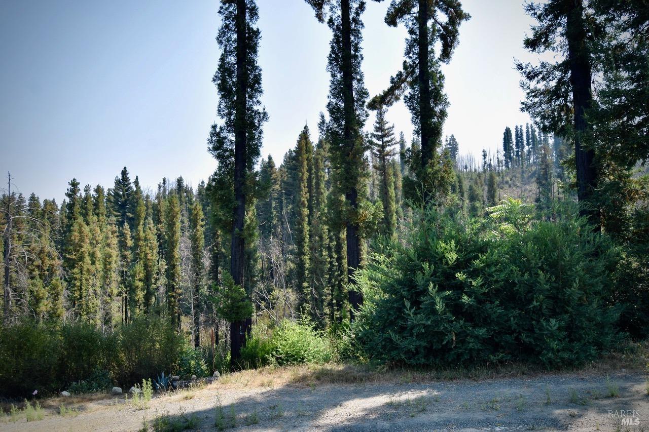 3950 Mountain Home Ranch Road Calistoga CA 94515