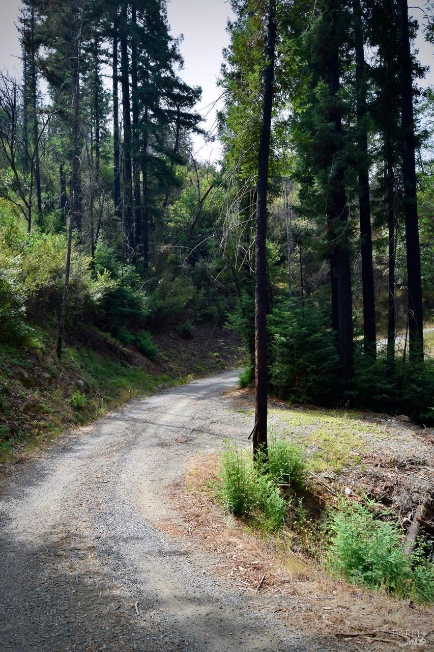 3950 Mountain Home Ranch Road Calistoga CA 94515