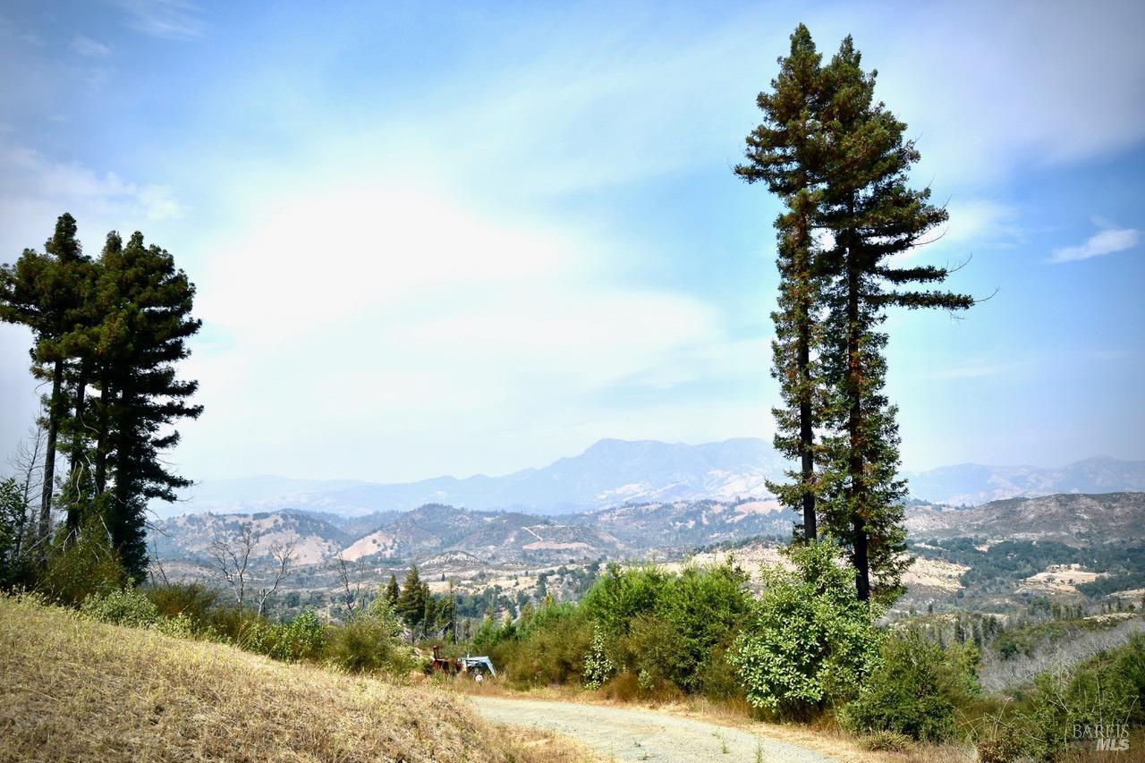 3950 Mountain Home Ranch Road Calistoga CA 94515