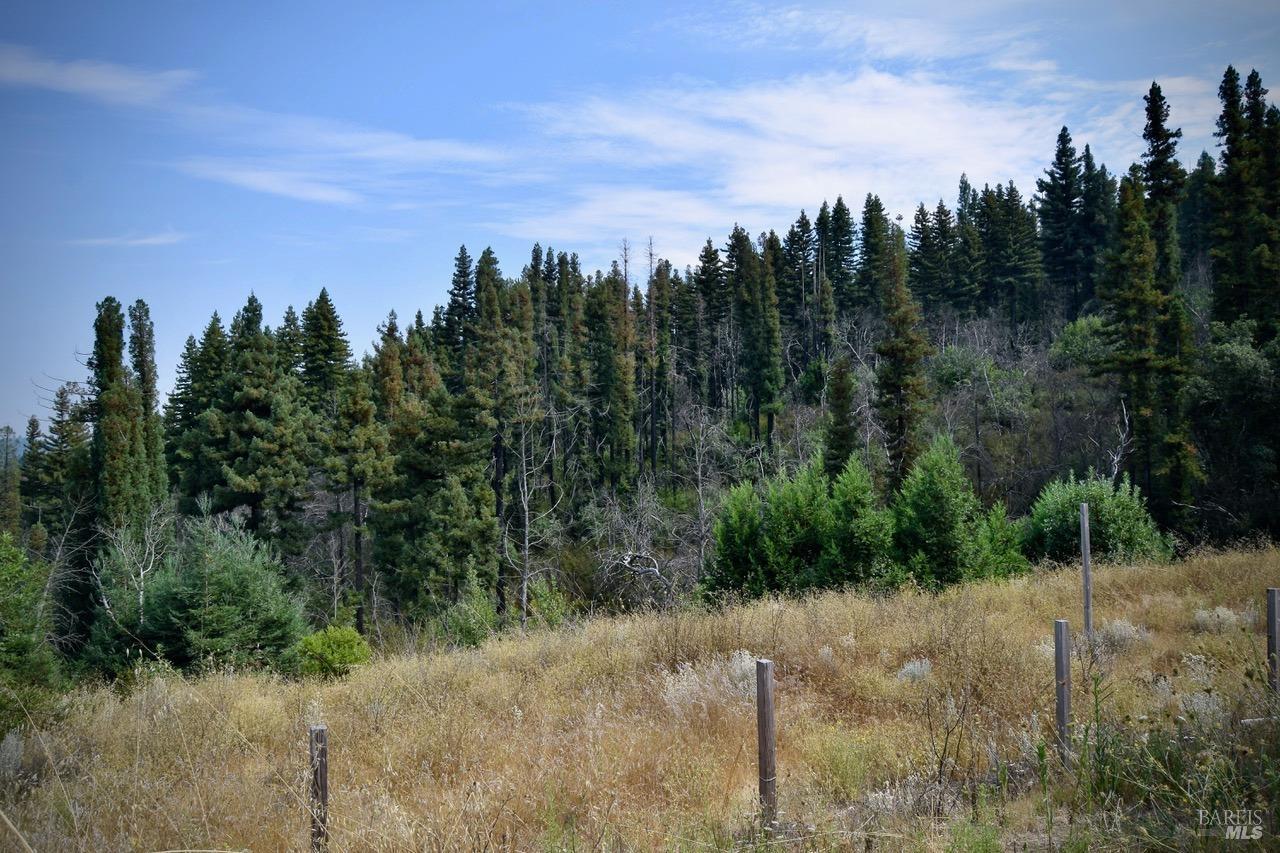 3950 Mountain Home Ranch Road Calistoga CA 94515