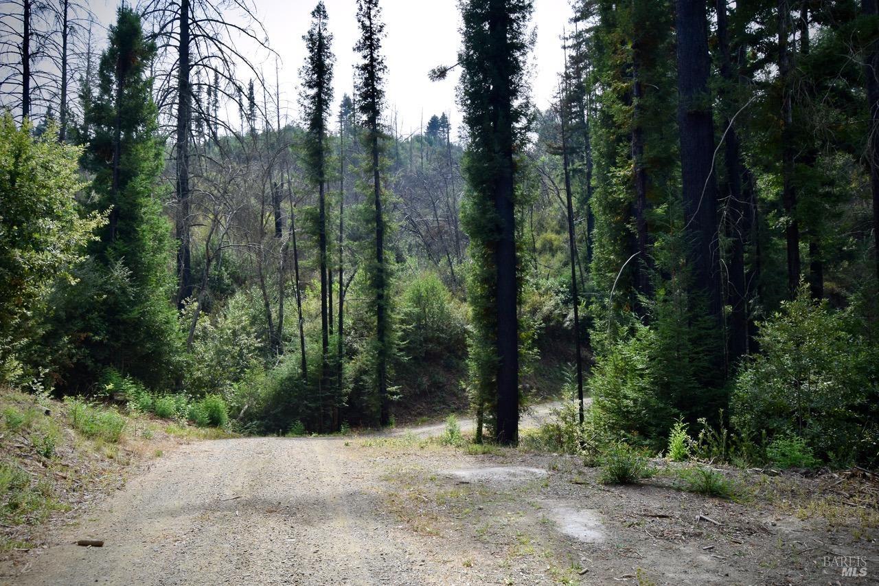 3950 Mountain Home Ranch Road Calistoga CA 94515