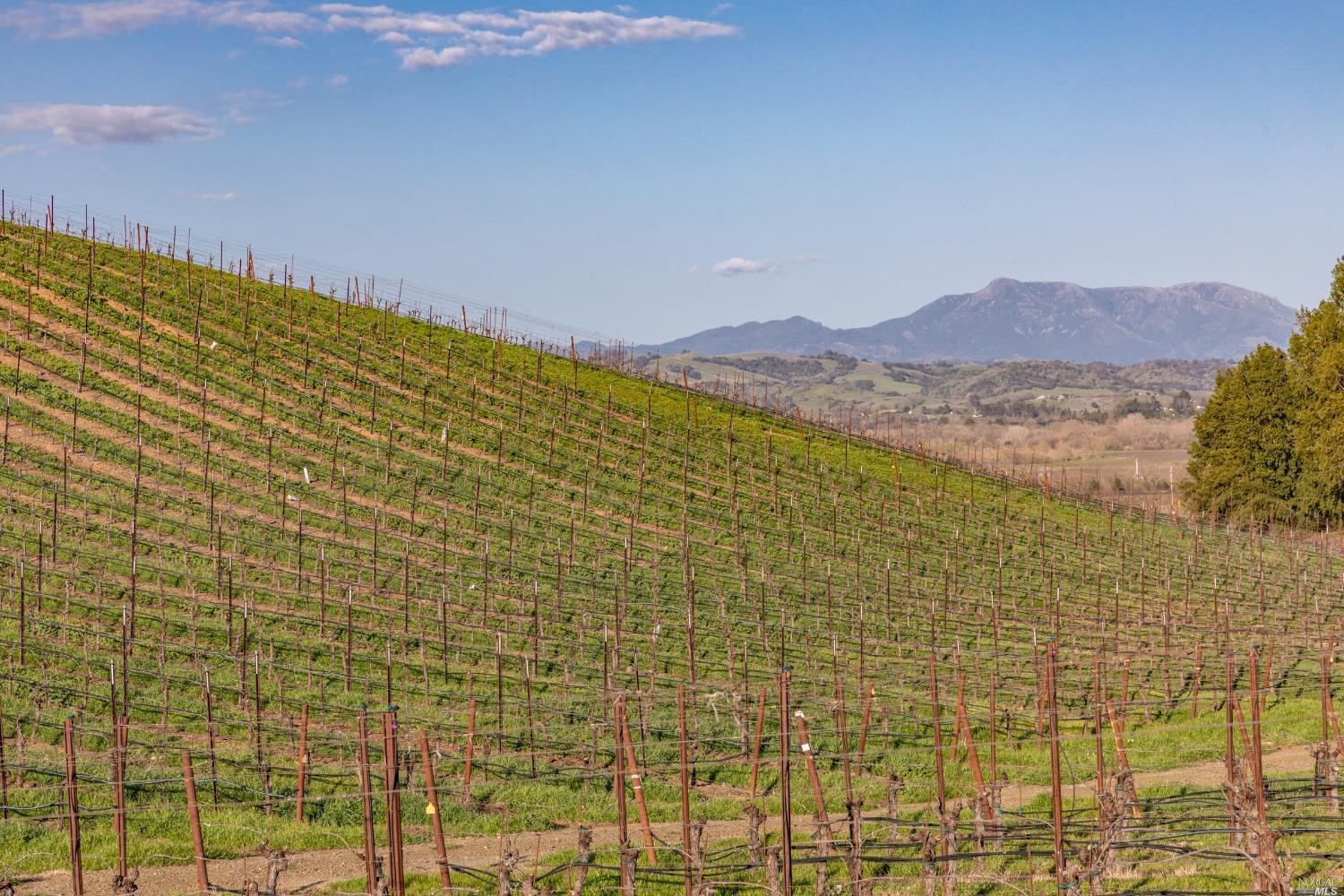 5285 Westside Road Healdsburg CA 95448