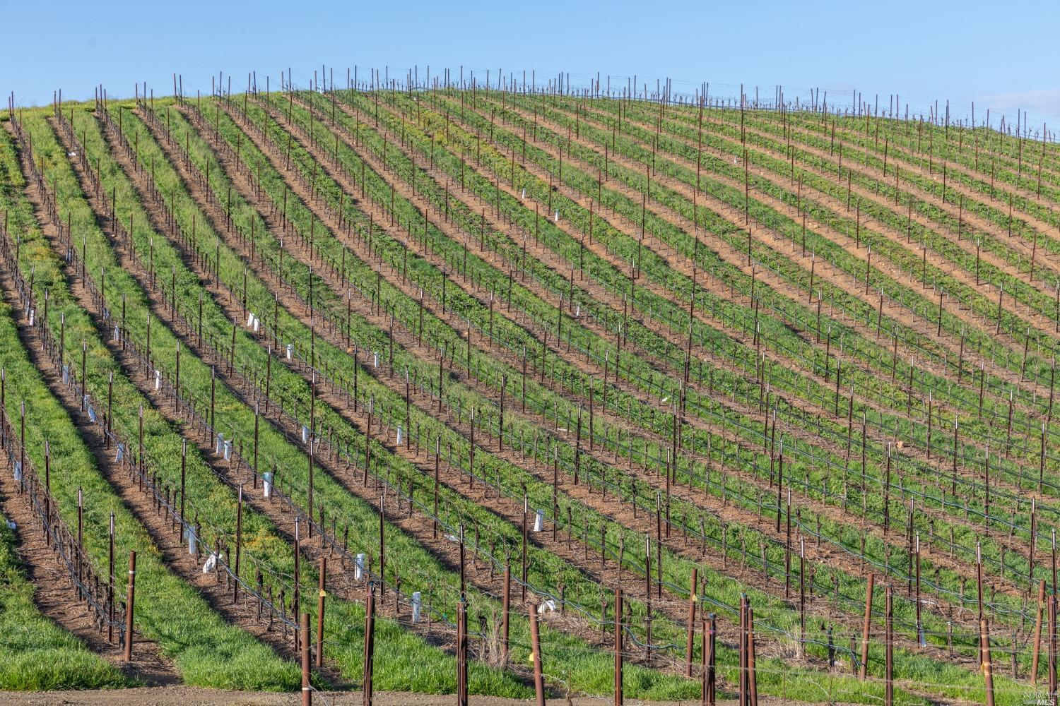 5285 Westside Road Healdsburg CA 95448